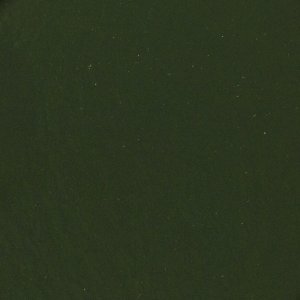 BRAT.PL Spirulina w PROSZKU 500g anemia, odporność od BRAT 3