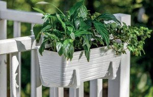 Form-Plastic Skrzynka balkonowa Sahara 3193-014, Doniczka prostokątna 78.5x17 cm, Kolor Antracyt, Form-Plastik 2