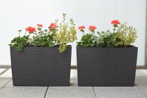 Lamela Skrzynka balkonowa BEGONIA LA627-50, Doniczka prostokątna 56x19 cm, Kolor Grafitowy, Lamela 9