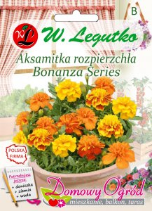 Legutko Nasiona Aksamitka Bonanza Series mieszanka, 0,5g 1