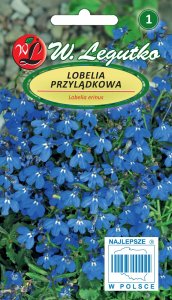 Legutko Nasiona Lobelia przylądkowa, Stroiczka niebieska 1