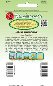 Legutko Nasiona Lobelia przylądkowa, Stroiczka niebieska 2