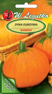 Legutko Nasiona Dynia olbrzymia Bambino, pomarańczowa, 4g 1