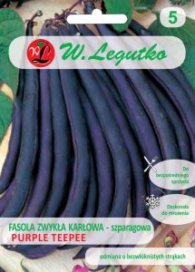 Legutko Nasiona Fasola szparagowa karłowa Purple fioletowa 1