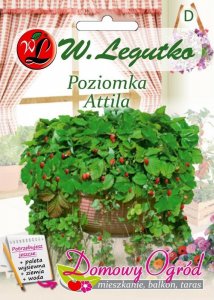 Legutko Nasiona Poziomka Attila, 0,1g 1