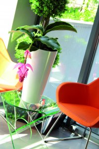 Prosperplast TUBUS SLIM SHINE (DTUS300S-S449) biała 3