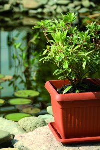 Prosperplast Doniczka kwadratowa TERRA DKWT45-S433, Kolor Antracyt, Prosperplast, Wymiary 45x45x35 cm 4