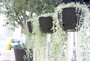 Prosperplast Doniczka okrągła wisząca SPLOFY DSPW230-405U, Kolor Szary kamienny, Prosperplast, Wymiary 23x14.5 cm 3