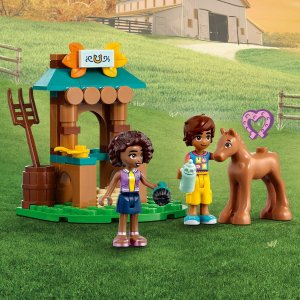 LEGO Friends Dom Autumn (41730) 7