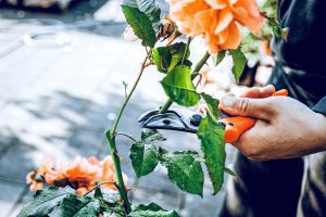 Sekator Lowe 16.107 kowadełkowy 2