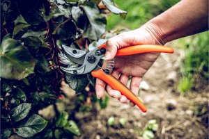 Sekator Lowe 16.107 kowadełkowy 3