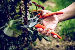 Sekator Lowe 16.107 kowadełkowy 5