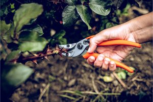 Sekator Lowe 16.107 kowadełkowy 7