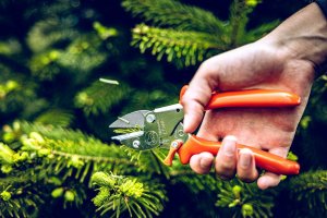 Sekator Lowe 5.127 kowadełkowy 5