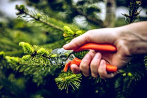 Sekator Lowe 5.127 kowadełkowy 10