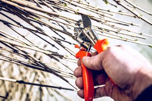 Sekator Lowe 5.107 kowadełkowy 13