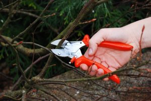 Sekator Lowe 5.107 kowadełkowy 7