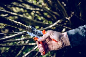 Sekator Lowe Zestaw sekator Lowe 10.107 i ostrzałka z oliwiarką Shark 11