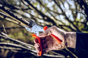 Sekator Lowe Zestaw sekator Lowe 10.107 i ostrzałka z oliwiarką Shark 7