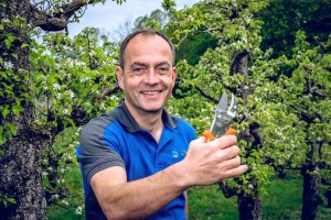 Sekator Lowe Zestaw sekator Lowe 10.107 i ostrzałka z oliwiarką Shark 8