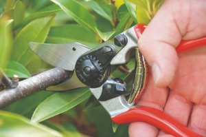 Sekator Felco 6 nożycowy 6