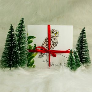 Wołoszyn Nowość zapałki seria natura - duże opakowanie 3