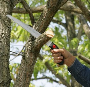 SILKY Piła do drewna Gomtaro 180-8 SILKY 102-18 3