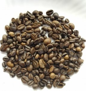 Kawa ziarnista Gimoka Professional Supremo 1 kg 2