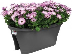 Elho ELHO Skrzynia balkonowa Corsica Flower Bridge 60 - szary antracyt - Elementy zewnetrzne i balkon - dl. 29,6 x szer. 58 x wys. 24 cm 3