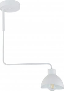 Lampa sufitowa Sigma Sufitowa lampa kierunkowa Holi 1-punktowa biała do holu 1