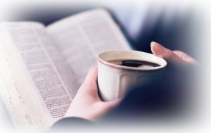 Kawa mielona Kawa mielona EILLES KAFFEE Selection 100% Arabica 500 g 3