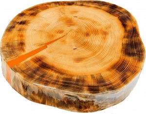 Wood & Resin Blat żywiczny z plastra drewna PDOB_085053_Z00 Żywica epoksydowa 43 cm x 45 cm x 6 cm | Szlifowany, Lakierowany spód (matowy), Opalany 1