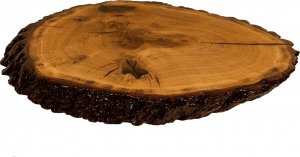 Wood & Resin Blat żywiczny z plastra drewna PDOB_111255_Z00 Żywica epoksydowa 42 cm x 61 cm x 6 cm | Szlifowany, Lakierowany spód (matowy) 1