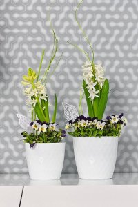 Galicja DONICZKA CRISTAL 16cm szary 5