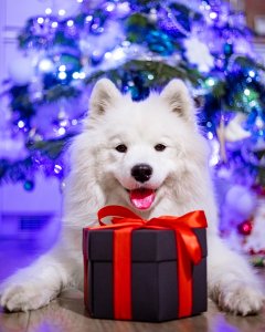 ToPrezent.pl Wysokie Pudełko Niespodzianka - Czarny EXPLOSION BOX 9