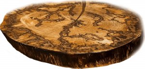 Wood & Resin Blat żywiczny z plastra drewna PDOB_095307_Z00 Żywica epoksydowa 49 cm x 54 cm x 6 cm | Fraktale Lichtenberga, Szlifowany, Lakierowany spód (matowy), Brokat 1