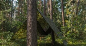 Plandeka Bradas Plandeka kamuflażowa moro CAMOforest 6 x 10m 90 g. 6