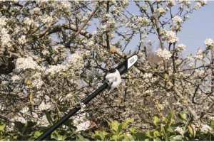 Scheppach SCHEPPACH 52CC 4 w 1 kosa spalinowa (kosa spalinowa, sekator, nozyce do zywoplotu, obrzynarka) 4