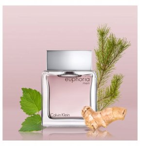 Calvin Klein Calvin Klein Euphoria Men Eau de Toilette 100ml. + Mini 15ml. EDT + After Shave Balm 100ml. ZESTAW 2