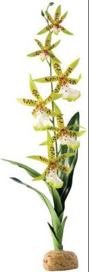 Hagen Exoterra Roślina Orchid 42cm 1