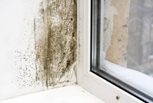 Oczyszczacz i osuszacz powietrza Woods AD20G Hybrid 11