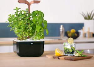 Veritable Veritable Doniczka Exky Smart Black&Copper 3