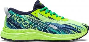 Asics Buty do biegania ASICS GEL-NOOSA TRI 13 GS (1014A209 302) 39 2