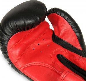 DBX BUSHIDO RĘKAWICE BOKSERSKIE DLA DZIECI  BUSHIDO ARB-407v3 4 oz  2160 10