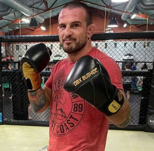 DBX BUSHIDO Rękawice bokserskie  "Hammer - Gold"  ze skóry naturalnej  12oz 2346 14