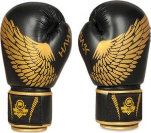 DBX BUSHIDO Rękawice bokserskie sparingowe "HAWK" B-2v17 Active Clima 10oz 2621 2
