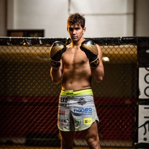 DBX BUSHIDO Rękawice bokserskie sparingowe "HAWK" B-2v17 Active Clima 10oz 2621 4