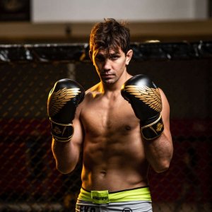 DBX BUSHIDO Rękawice bokserskie sparingowe "HAWK" B-2v17 Active Clima 10oz 2621 5