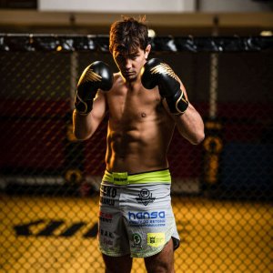 DBX BUSHIDO Rękawice bokserskie sparingowe "HAWK" B-2v17 Active Clima 10oz 2621 6