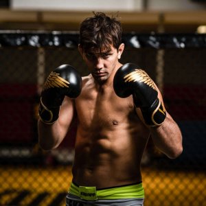 DBX BUSHIDO Rękawice bokserskie sparingowe "HAWK" B-2v17 Active Clima 10oz 2621 7